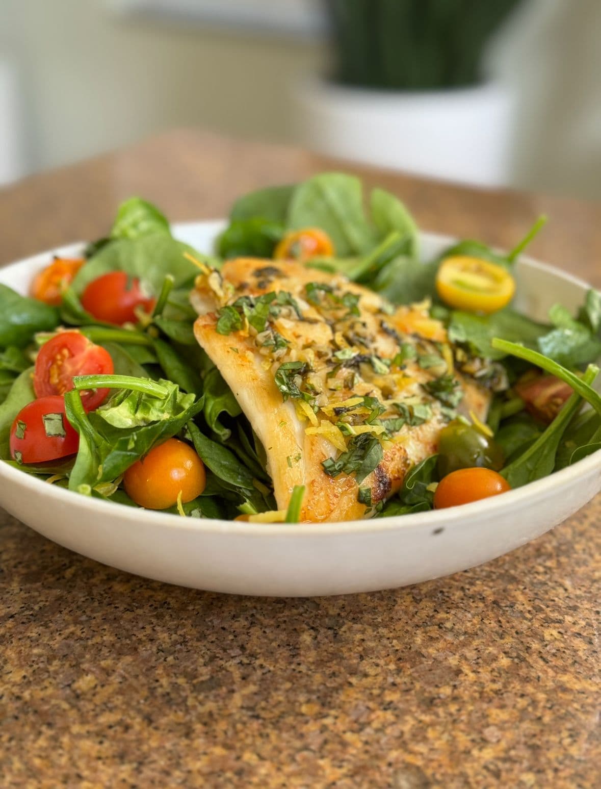 Barramundi Fish