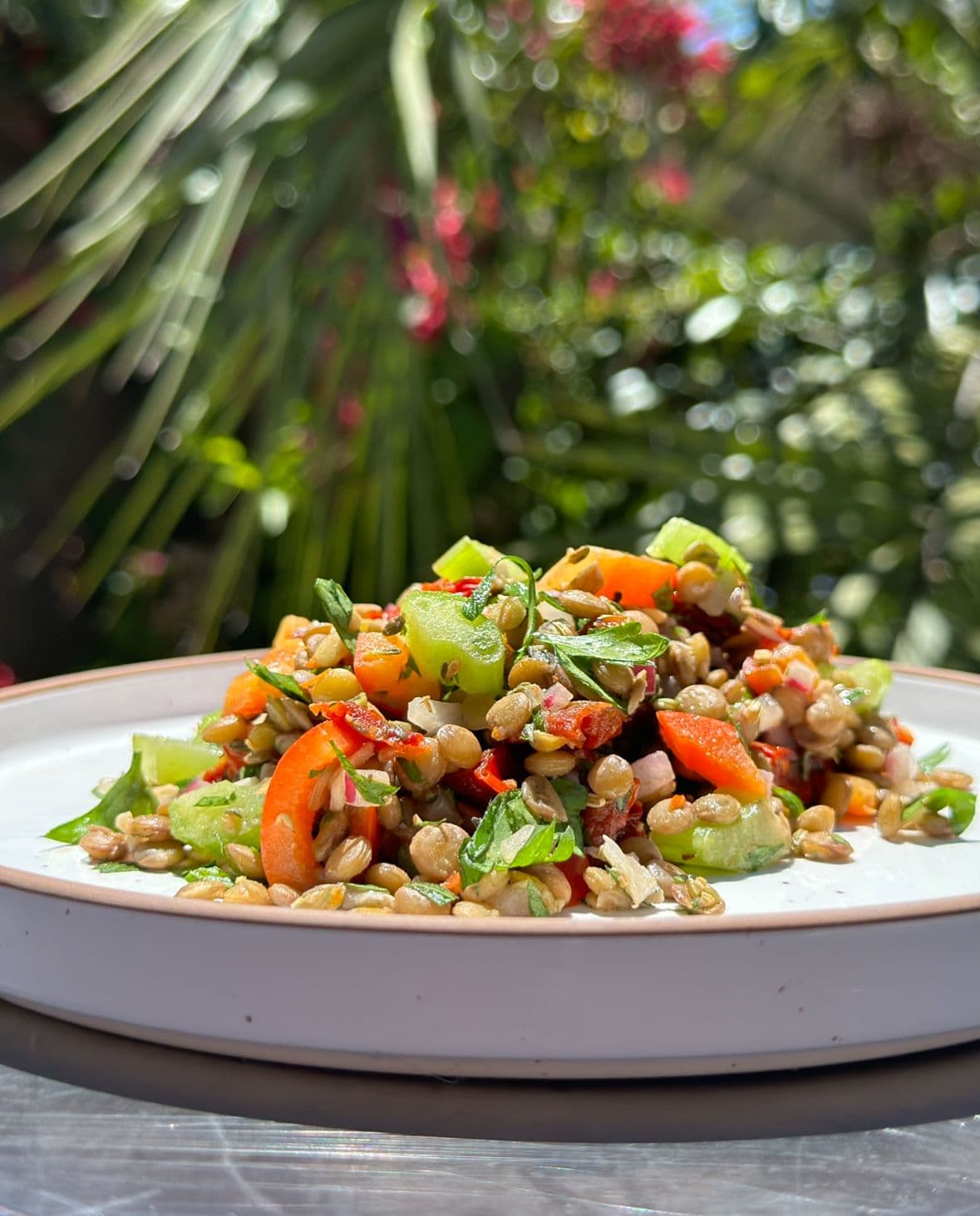 Mediterranean Lentil Salad